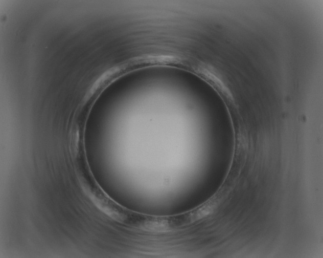 X0000086270110200704051319