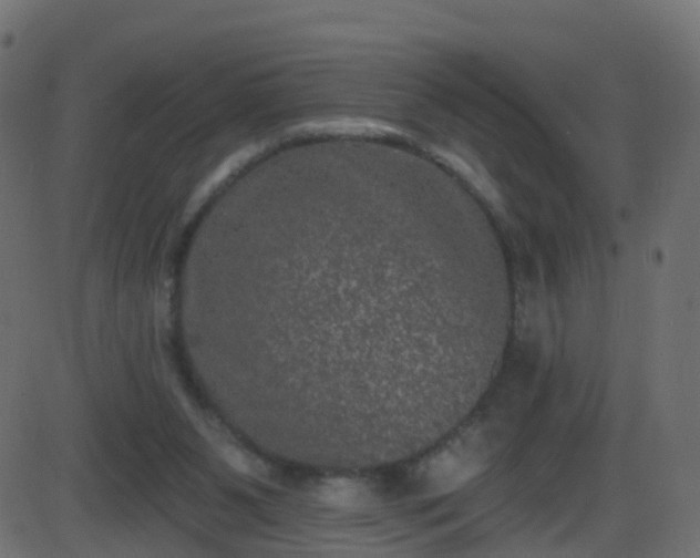 X0000086270111200704051319