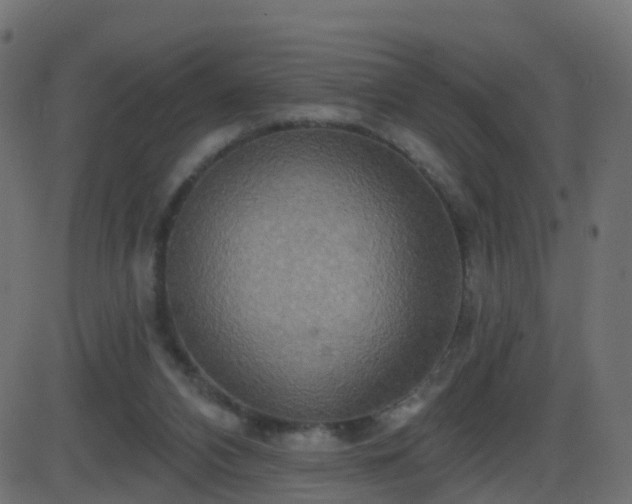 X0000086270112200704051319