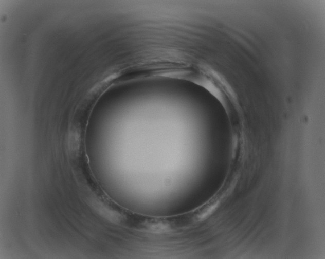 X0000086270113200704051319