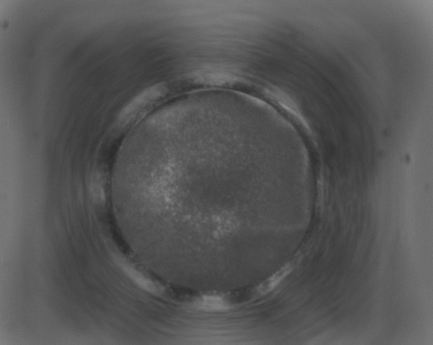 X0000086270114200704051319