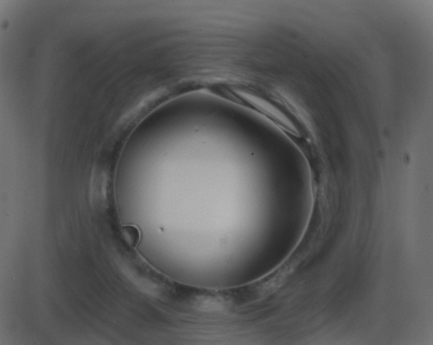 X0000086270115200704051319