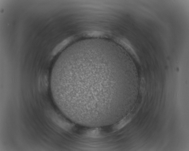 X0000086270116200704051319