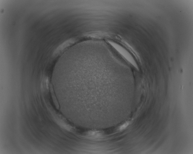 X0000086270117200704051319