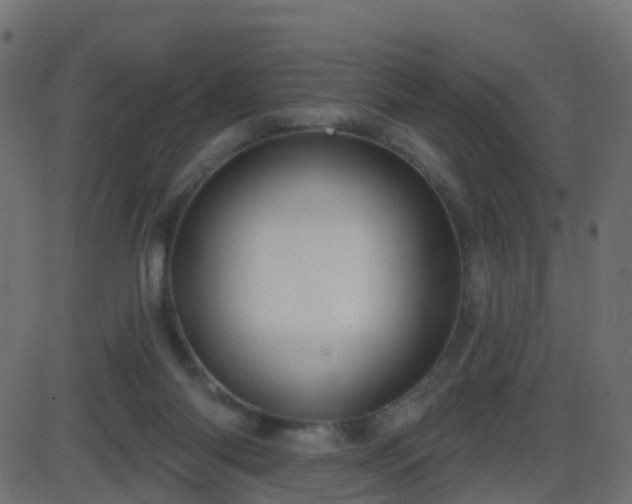 X0000086270118200704051319