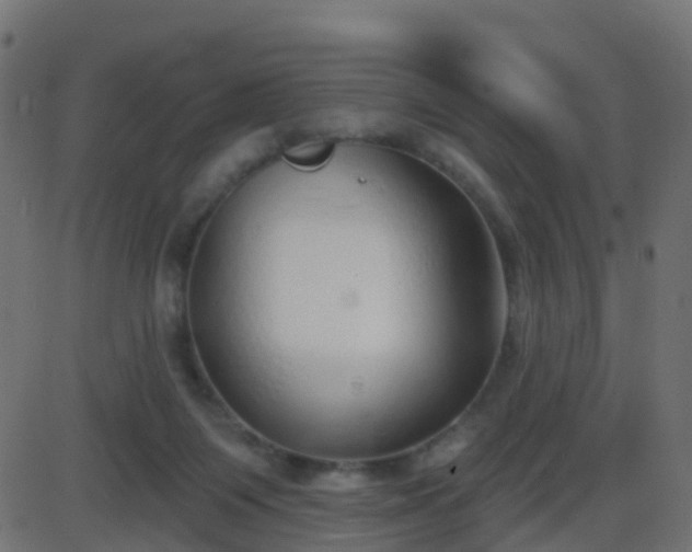 X0000086270119200704051319