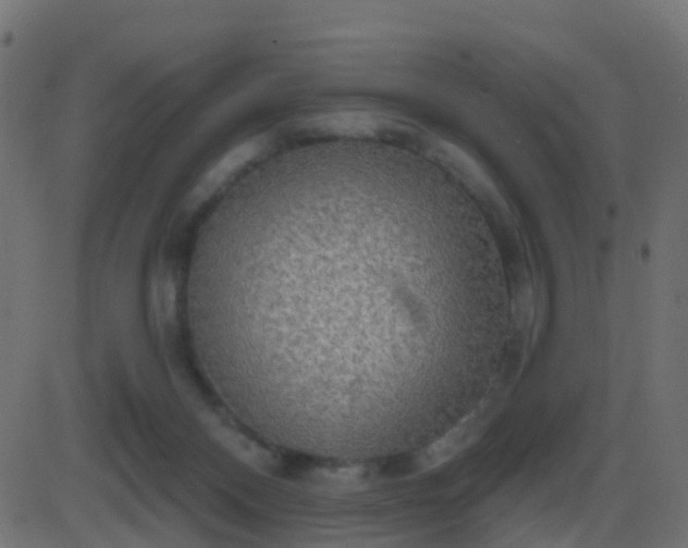 X0000086270120200704051319