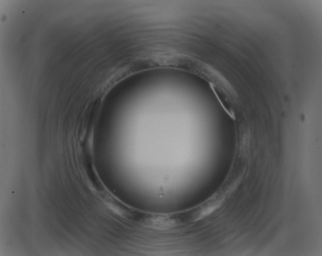 X0000086270121200704051319