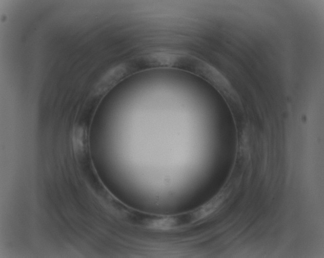 X0000086270122200704051319