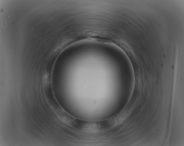 X0000086270123200704051319