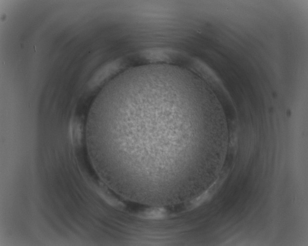 X0000086270124200704051319