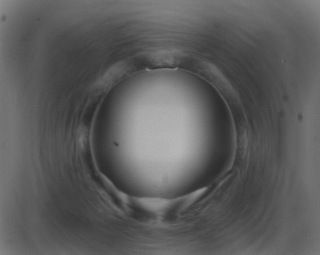 X0000086270125200704051319