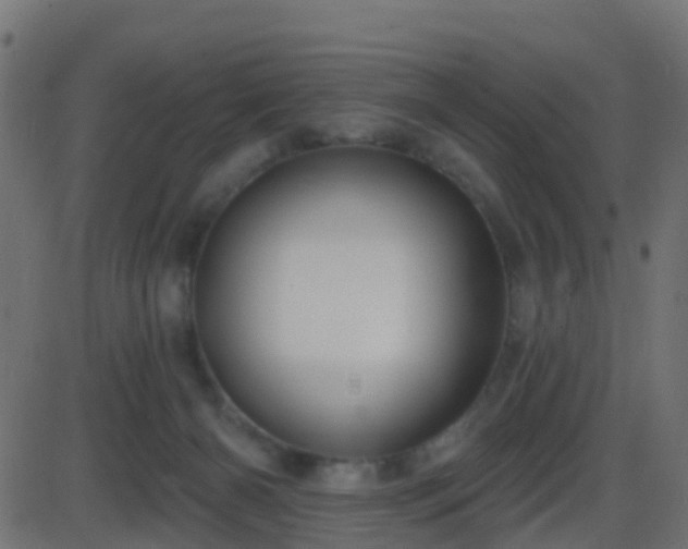 X0000086270126200704051319