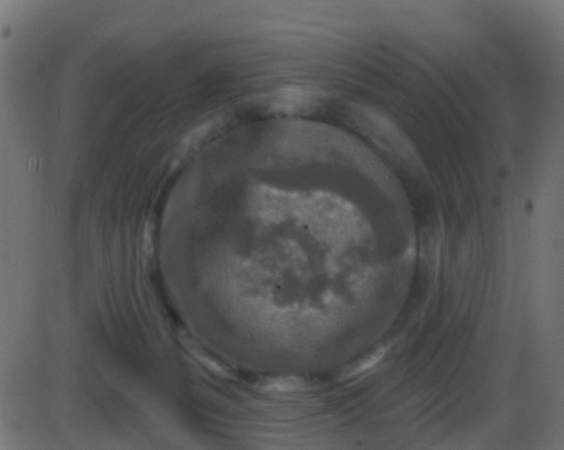 X0000086270127200704051319