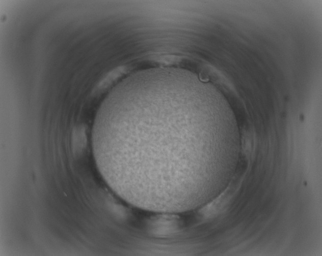 X0000086270128200704051319