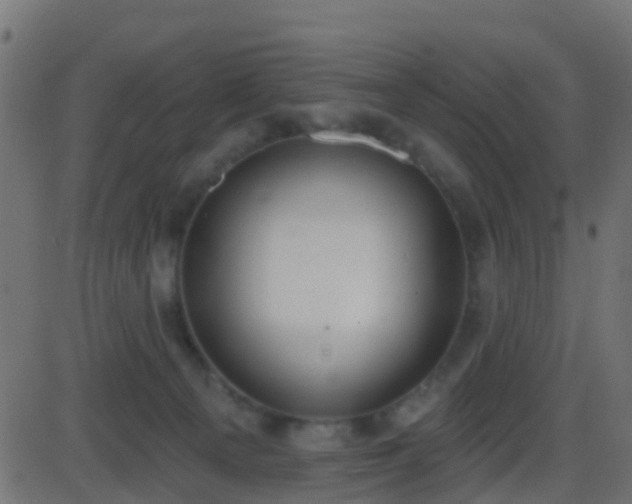 X0000086270129200704051319