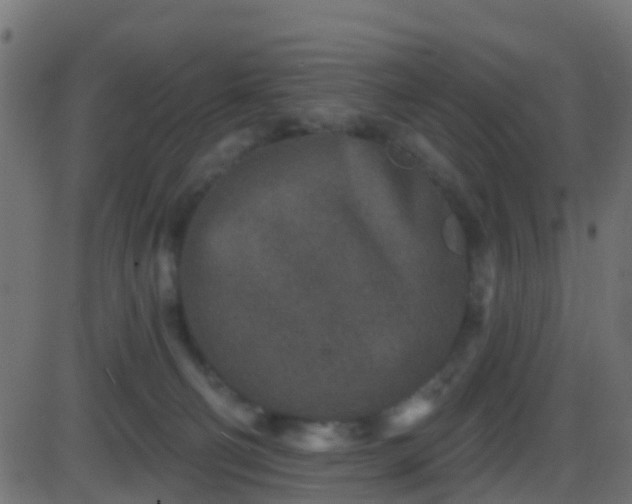 X0000086270130200704051319