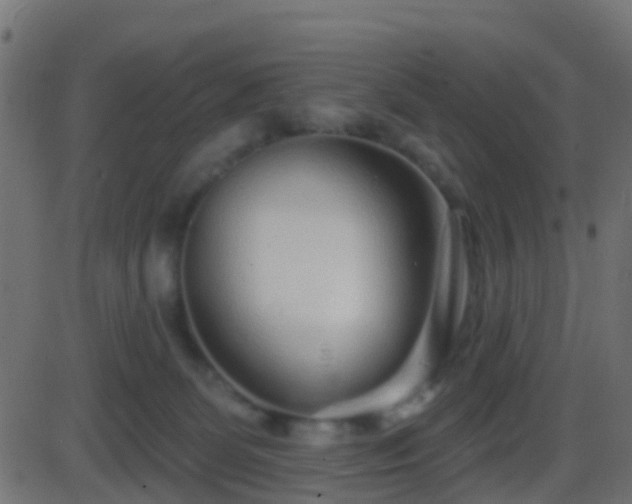 X0000086270131200704051319