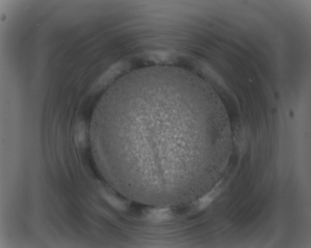 X0000086270132200704051319