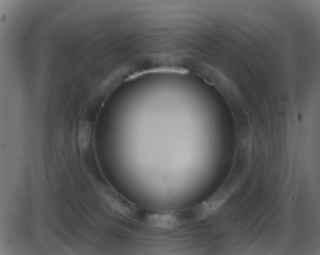 X0000086270133200704051319