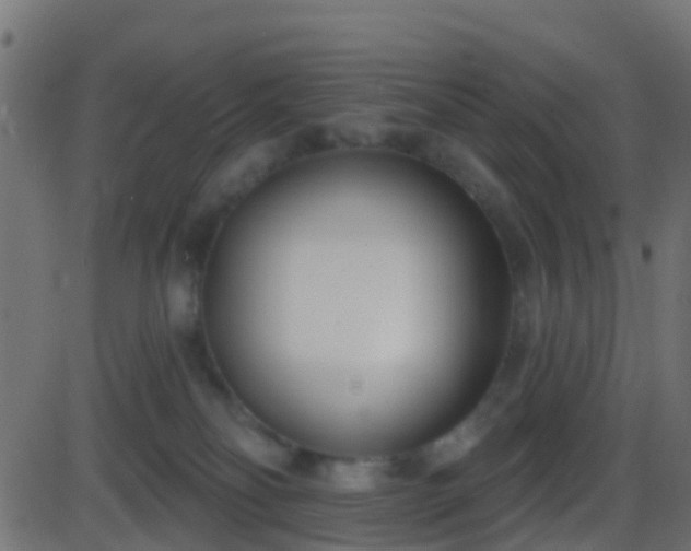 X0000086270134200704051319