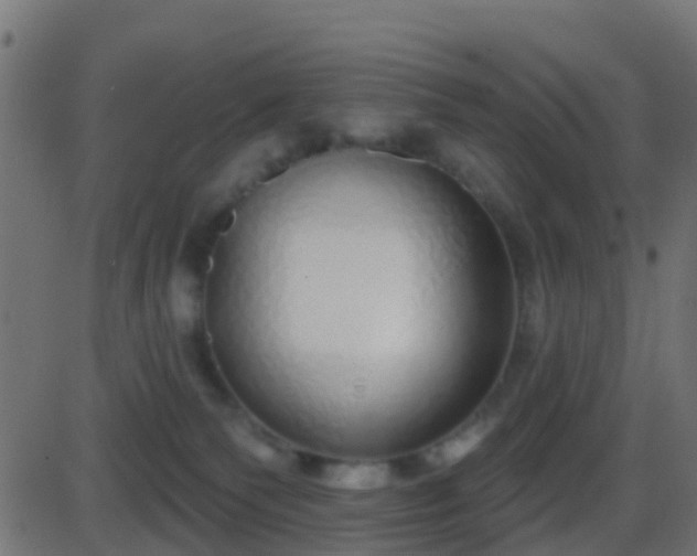 X0000086270135200704051319