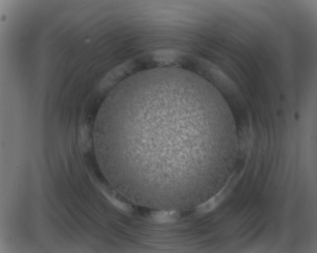 X0000086270136200704051319