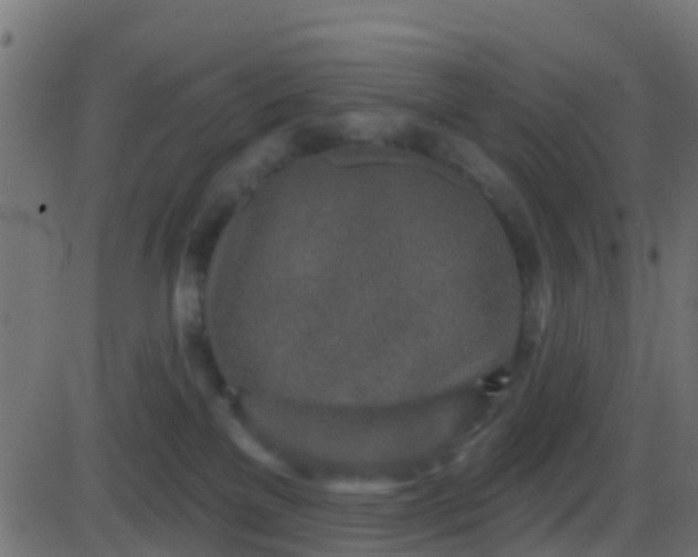 X0000086270137200704051319