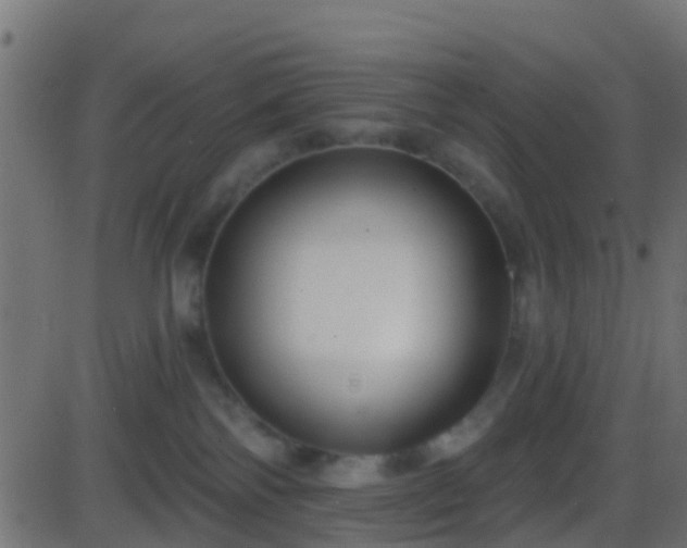 X0000086270138200704051319