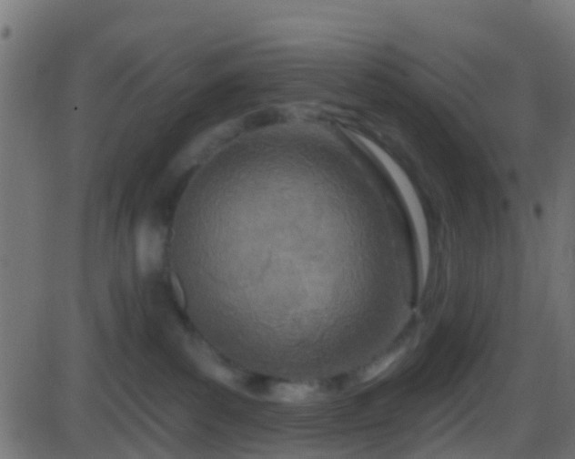 X0000086270139200704051319