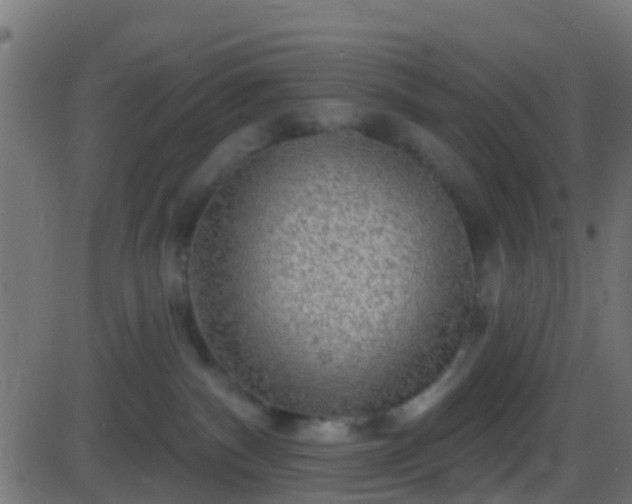 X0000086270140200704051319