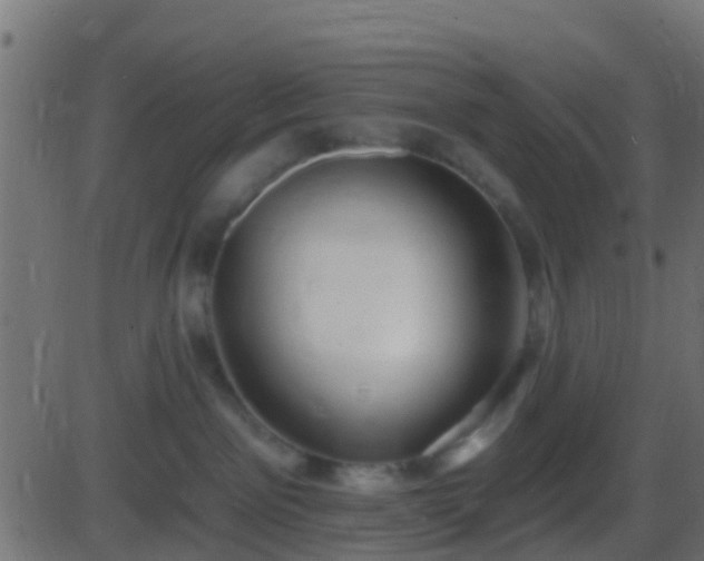 X0000086270141200704051319