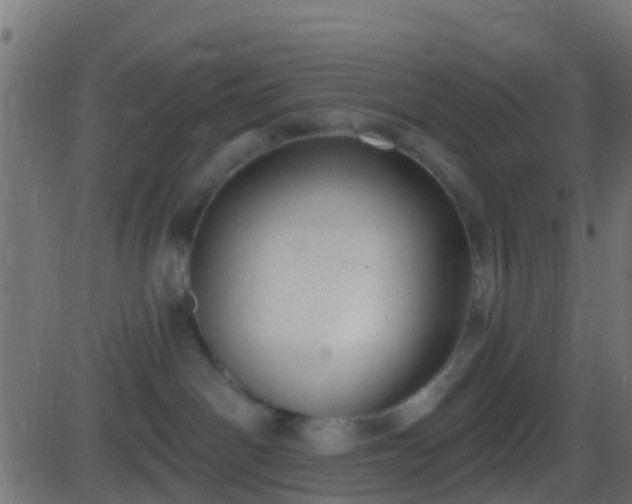 X0000086270142200704051319