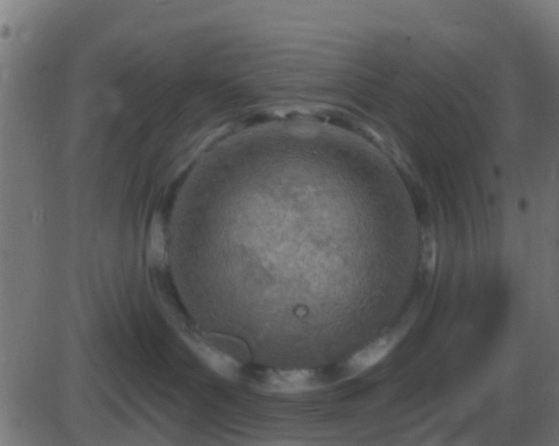 X0000086270143200704051319