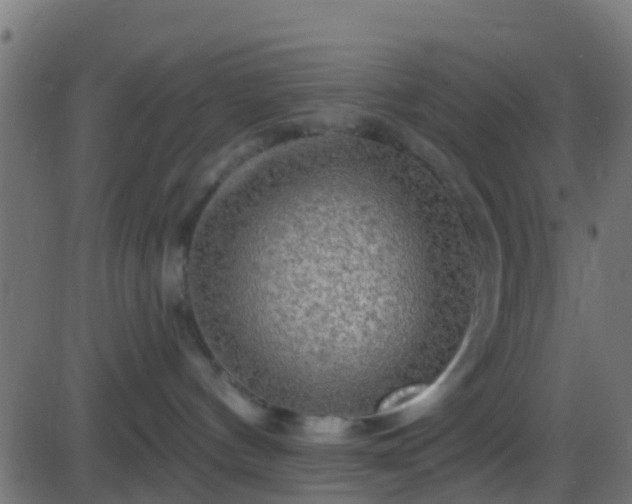 X0000086270144200704051319