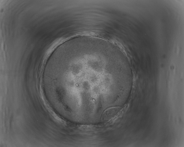 X0000086270145200704051318