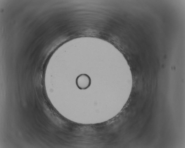 X0000086270146200704051318