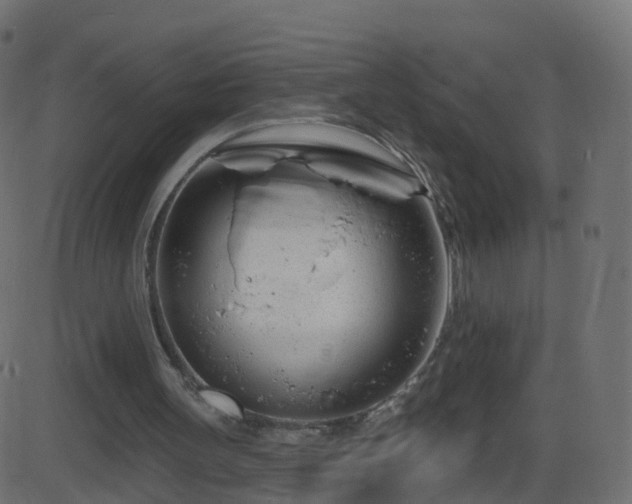 X0000086270147200704051318