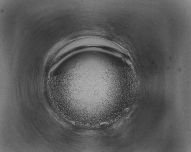 X0000086270149200704051318