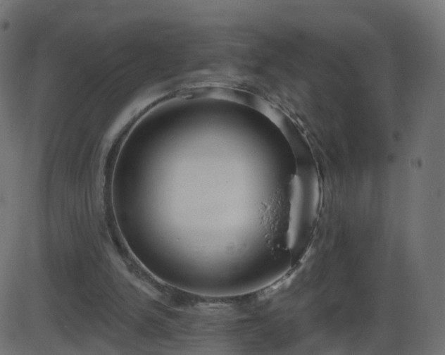 X0000086270150200704051318