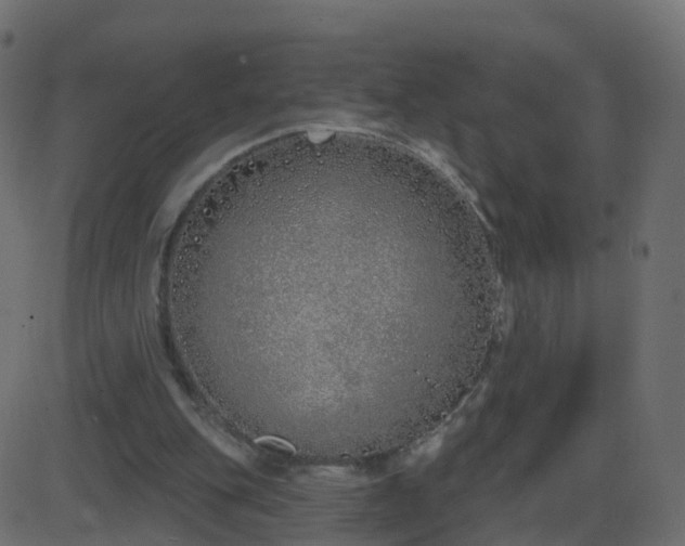 X0000086270151200704051318