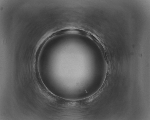 X0000086270152200704051318