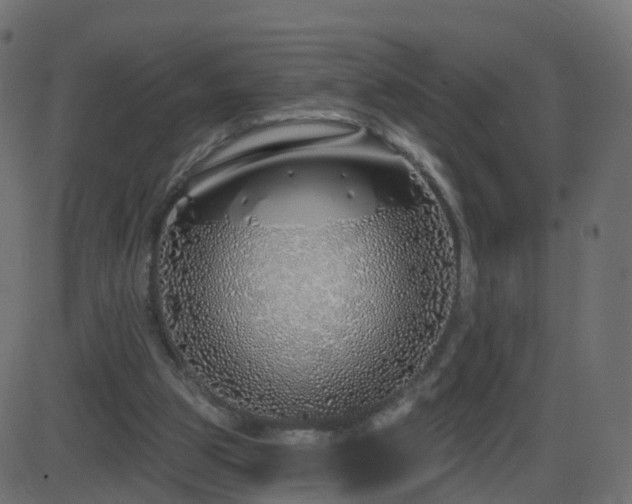 X0000086270153200704051318