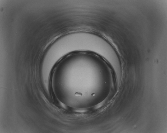 X0000086270154200704051318