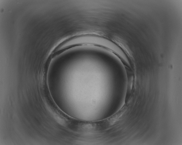 X0000086270156200704051318