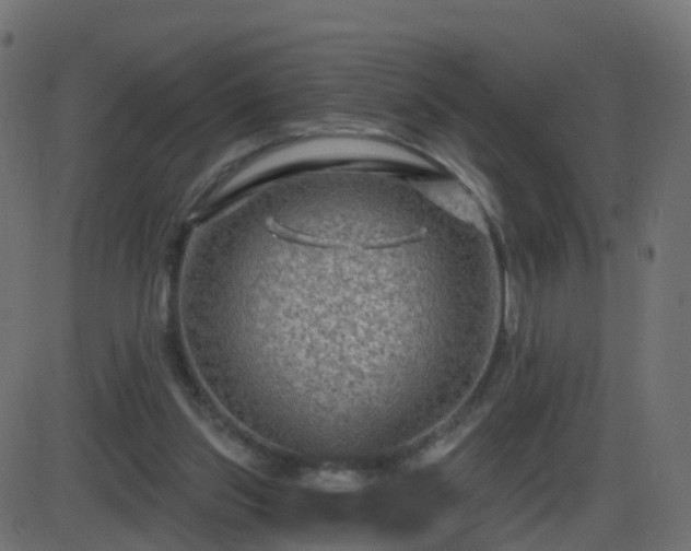 X0000086270157200704051318