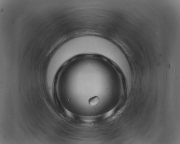 X0000086270158200704051318