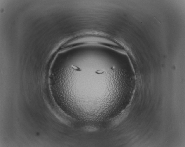 X0000086270159200704051318