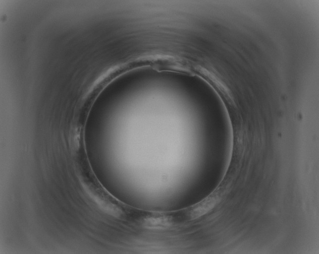 X0000086270160200704051318