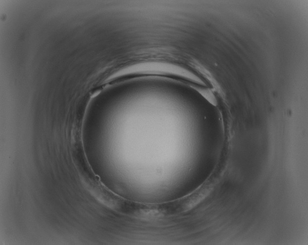 X0000086270161200704051318